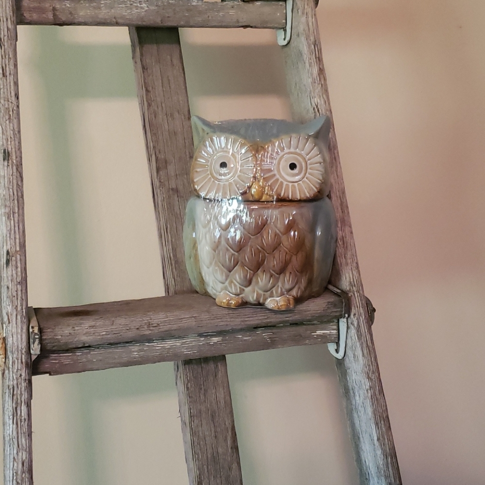 Adorable owl canister